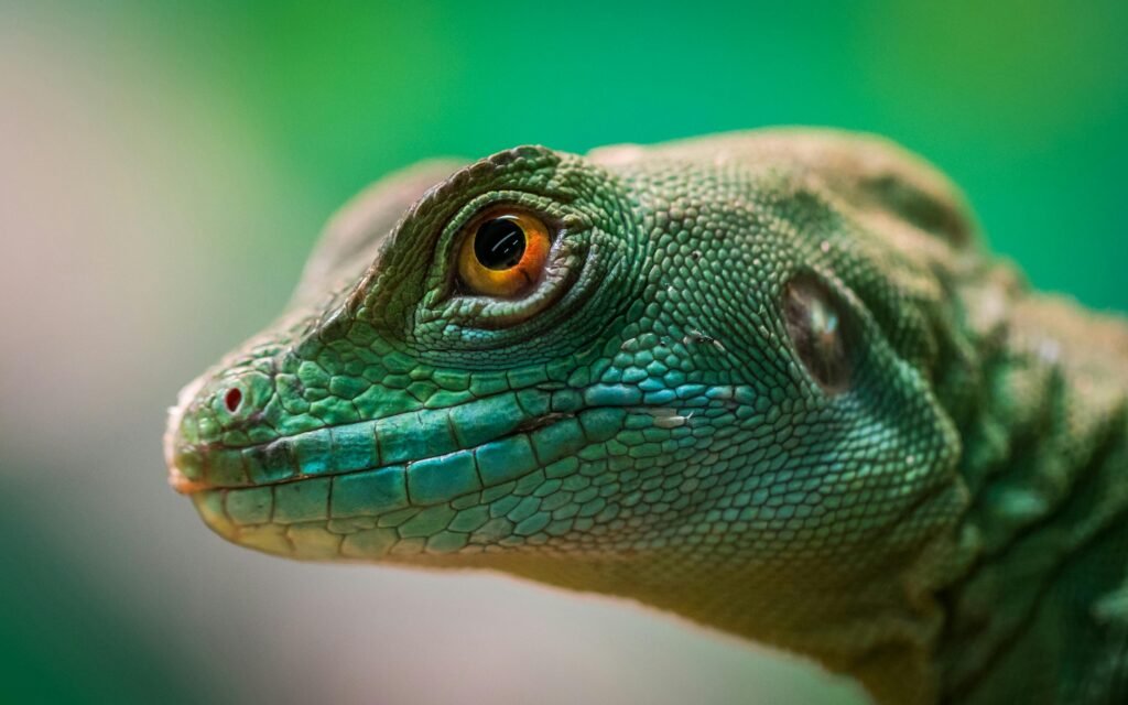 Detailed close-up of a vibrant green lizard showcasing its scales and eye in a tropical setting.